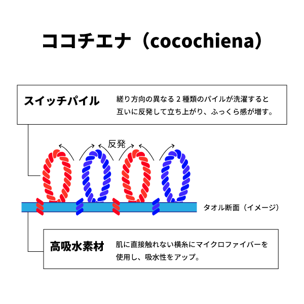 ココチエナ生地断面図