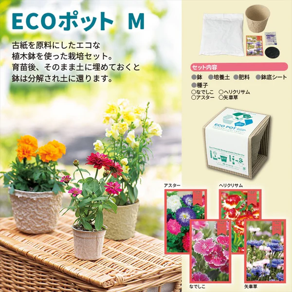 ECOポットM