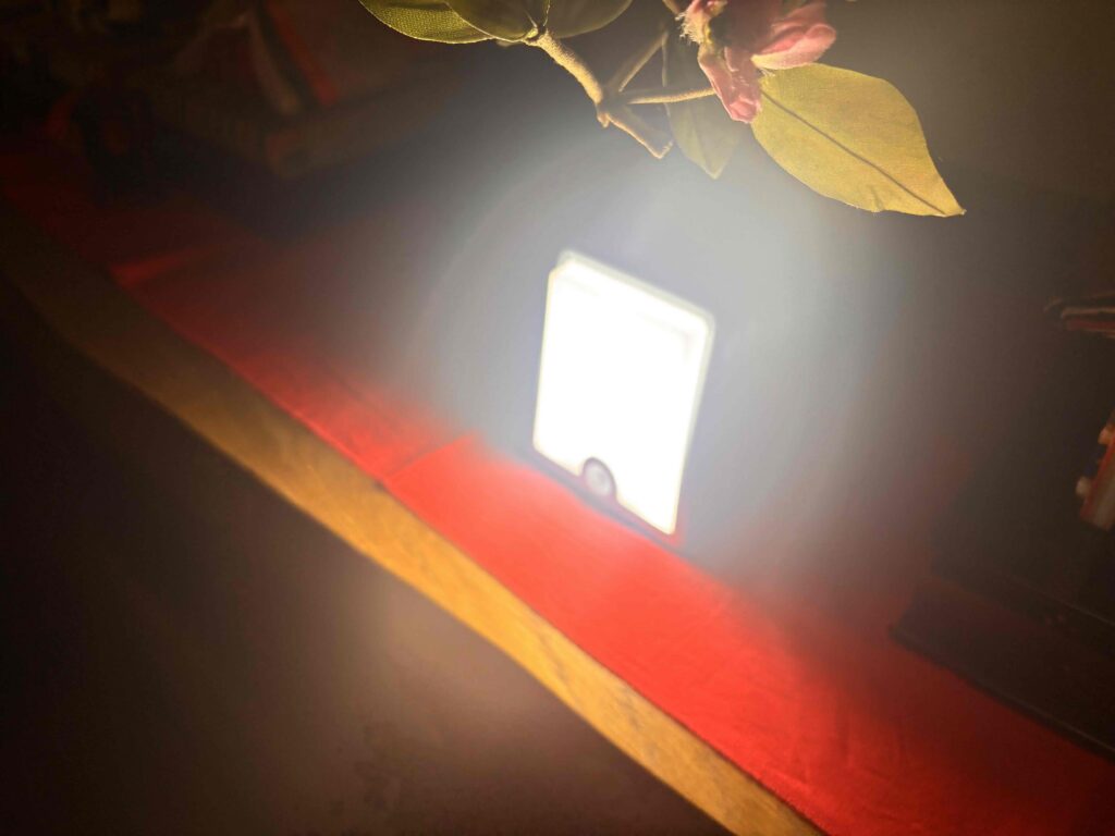 LEDセンサーライトを点灯させた